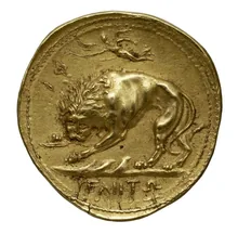coin rev