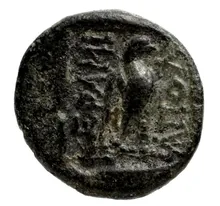 coin rev