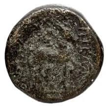 coin rev