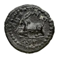 coin rev