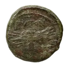 coin rev