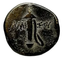 coin rev