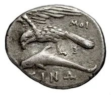 coin rev