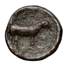 coin rev