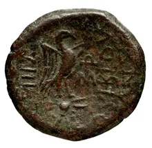 coin rev