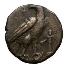 coin obv