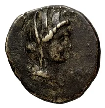 coin obv