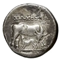 coin obv