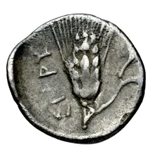 coin rev