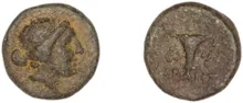 coin rev