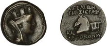 coin rev
