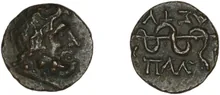 coin rev