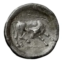 coin rev