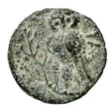 coin rev