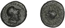 coin rev