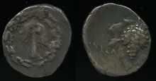 coin rev