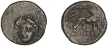 coin rev