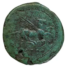 coin rev