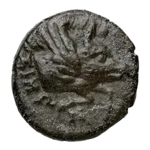 coin obv