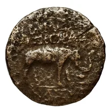coin rev