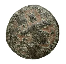 coin obv