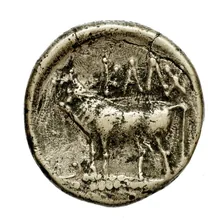 coin rev