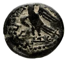 coin rev