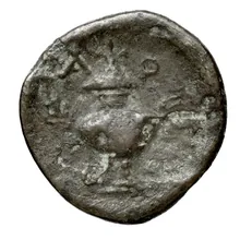 coin rev