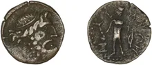 coin rev