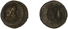 coin obv