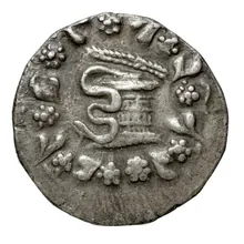 coin obv