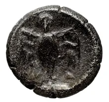 coin rev