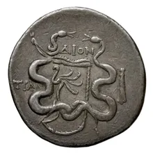 coin rev