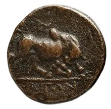coin rev