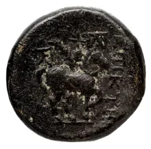 coin rev