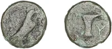 coin rev