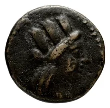 coin obv