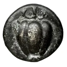 coin obv