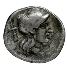 coin rev
