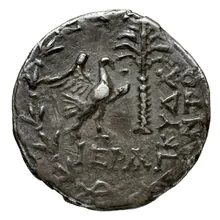 coin rev