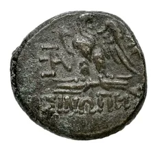 coin rev