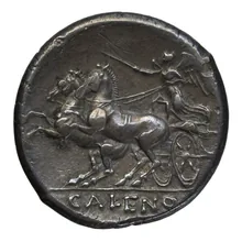 coin rev