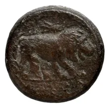 coin rev