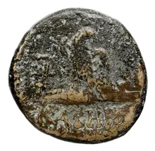 coin rev