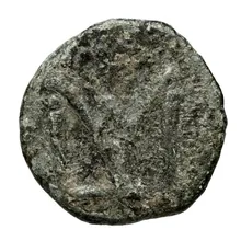 coin rev