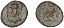 coin rev