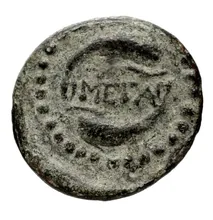coin rev