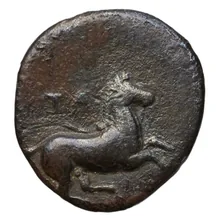 coin rev