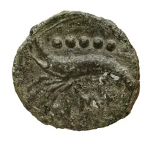 coin rev