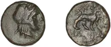 coin rev